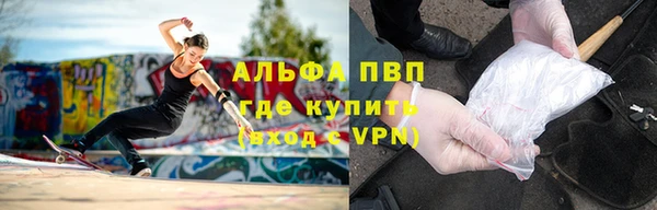 дживик Абаза