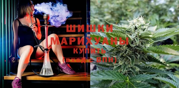 ГАЛЛЮЦИНОГЕННЫЕ ГРИБЫ Абинск