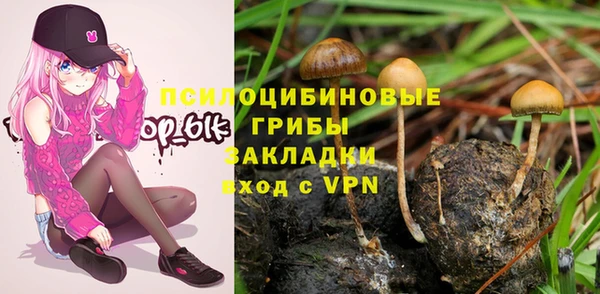 дживик Абаза