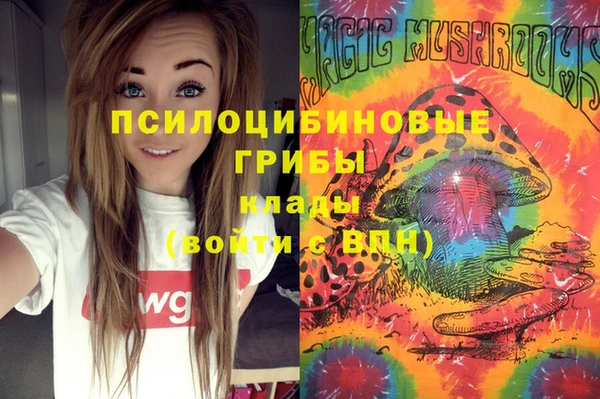 ГАЛЛЮЦИНОГЕННЫЕ ГРИБЫ Абинск