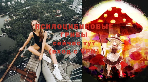 дмт Алексеевка