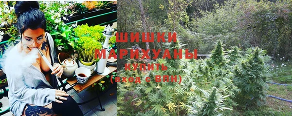 дживик Абаза