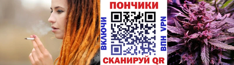 Бошки марихуана SATIVA & INDICA  Карасук 